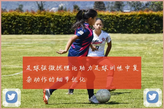 足球弦微扰理论助力足球训练中复杂动作的细节优化