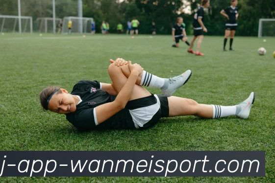 完美体育APP 封面图